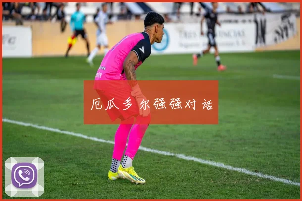 厄瓜多尔强强对话