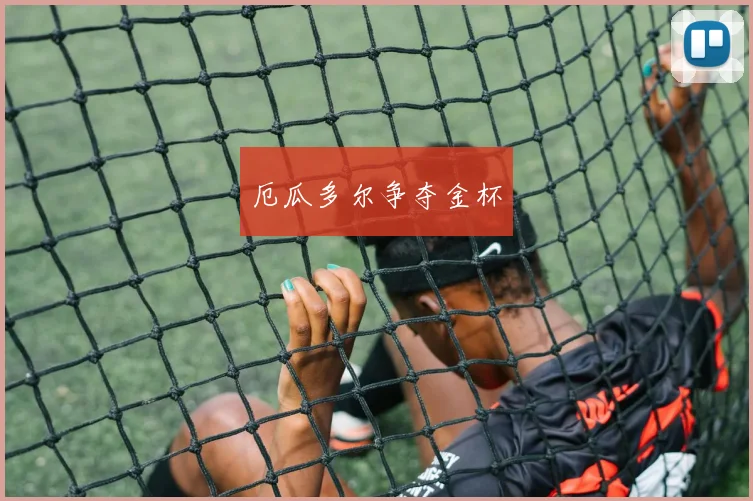 厄瓜多尔争夺金杯